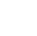 Valorant Sentinel role icon